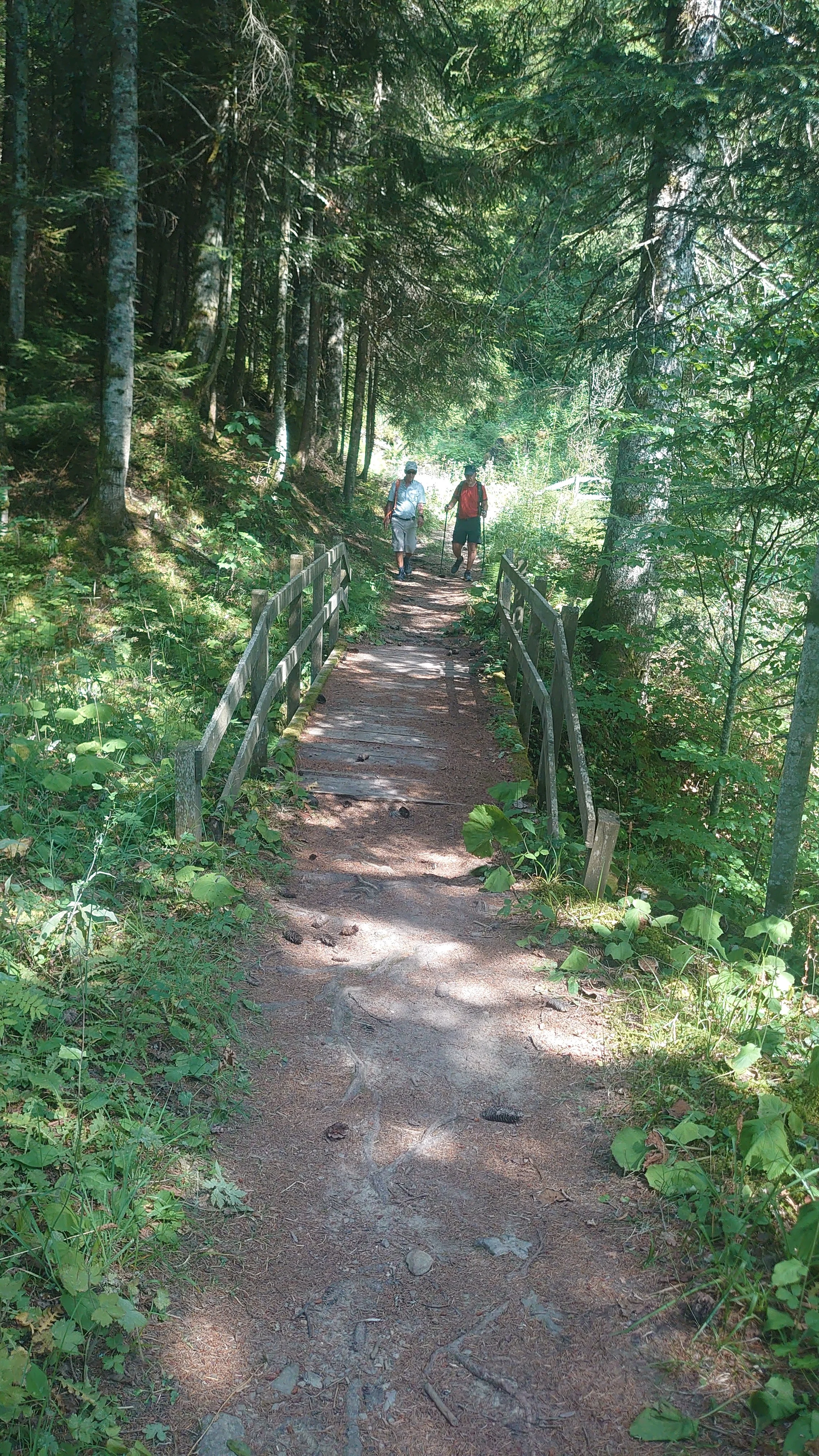 Dsc 0258