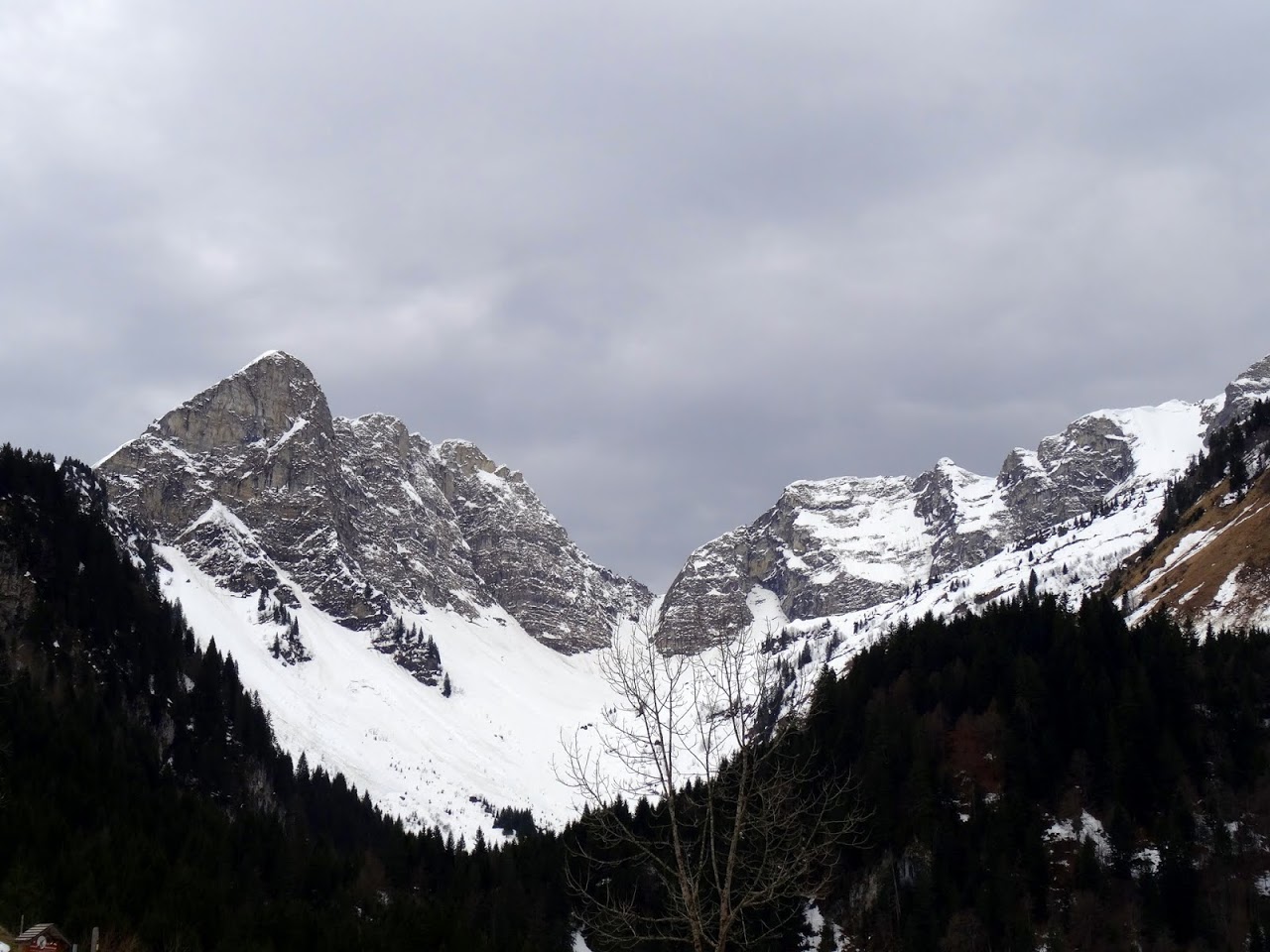 DSC06404